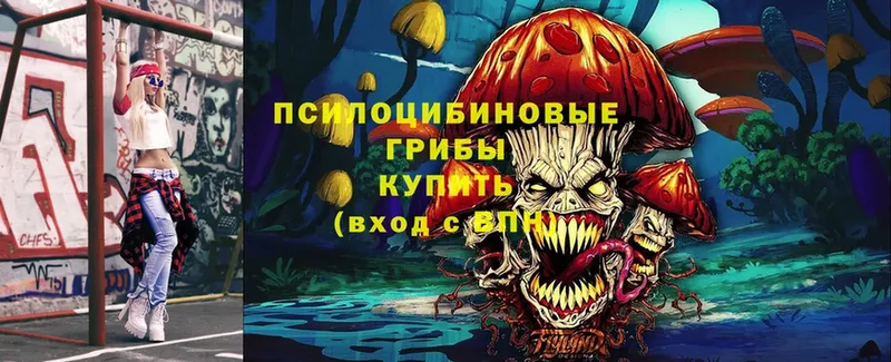 MEGA рабочий сайт  даркнет сайт  Бузулук  Псилоцибиновые грибы Cubensis 